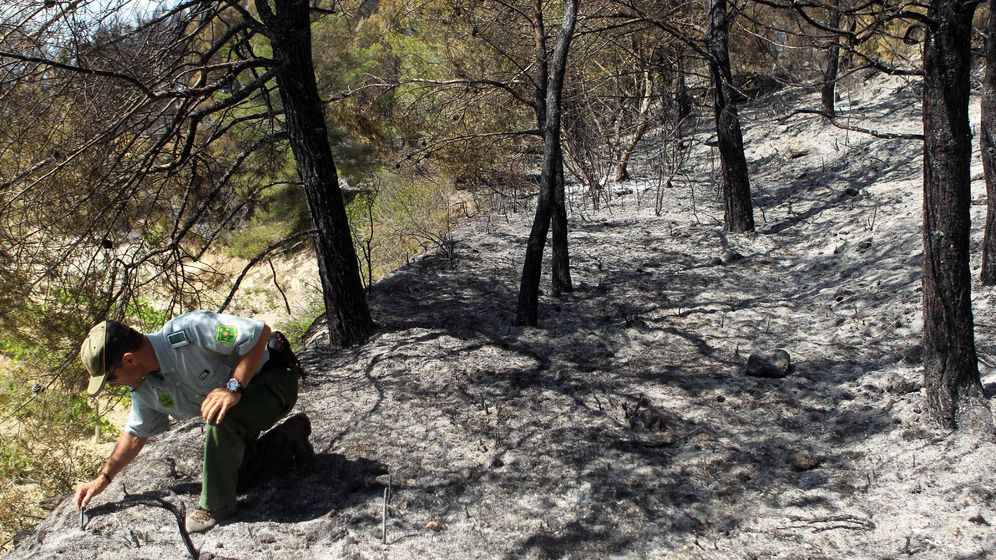 Foto: Un agente forestal toma muestras para investigar las causas de un incendio. (EFE)